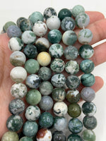 Tree Agate Smooth Beads