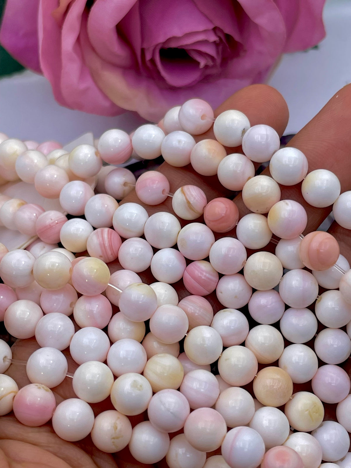 A close-up of round queen conch shell pearl beads in soft white, blush pink, and pale peach tones, held in a hand with a pink rose in the background.