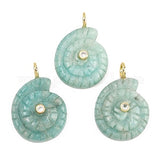 Amazonite ammonite charm