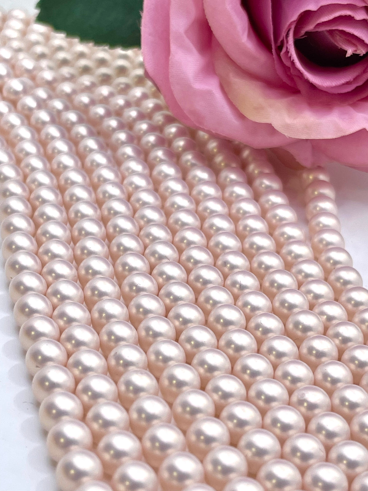 Pearlescent light pink shell pearls laid on white plain surface with rose in the background.