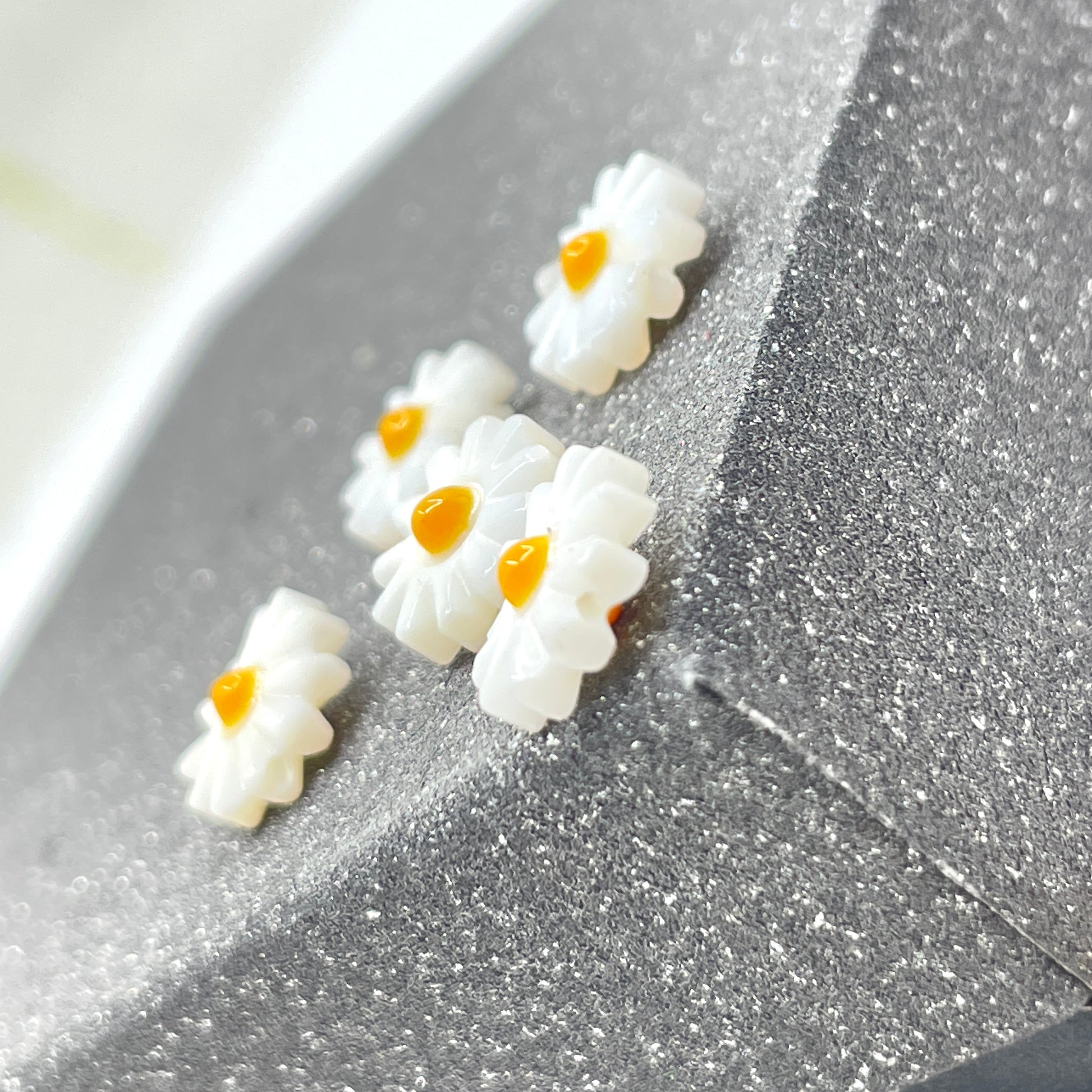 Cute Daisy flower