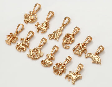 Zodiac Signs Rhodium Charm, Gold Plated