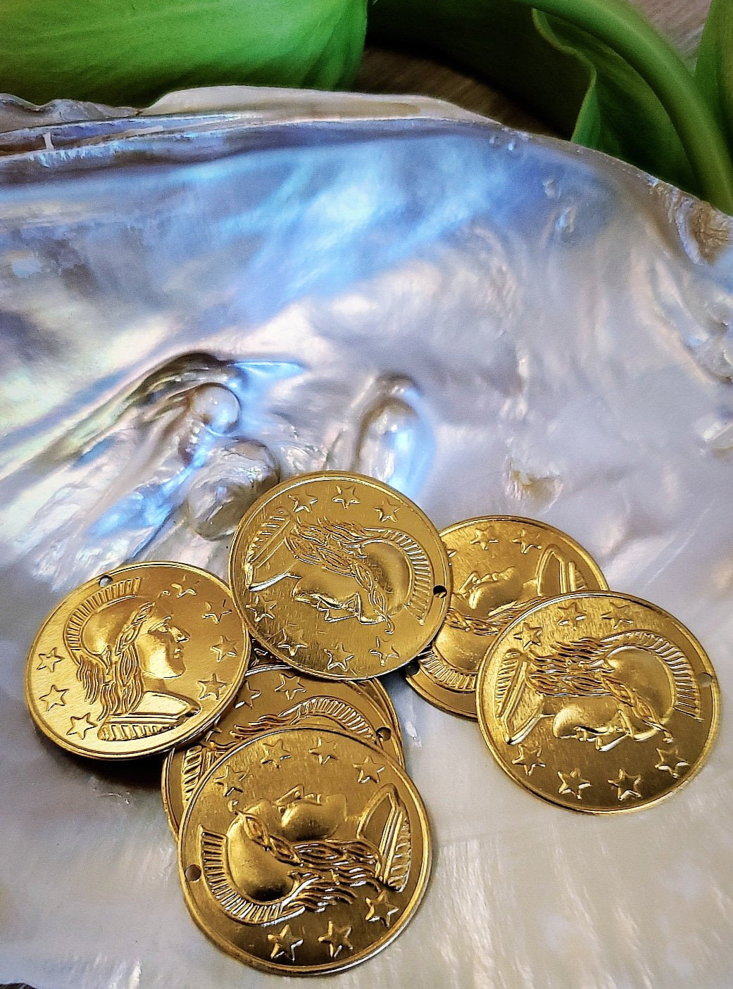 Coin Charm, Alumunium Coin Charm, Big Coin