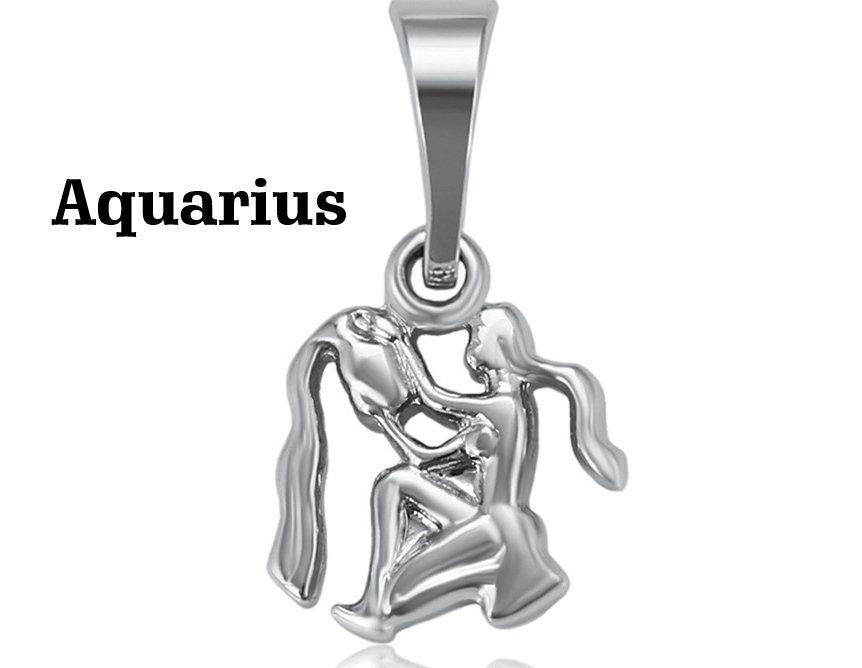 Zodiac Signs Rhodium Charm, Rhodium Plated