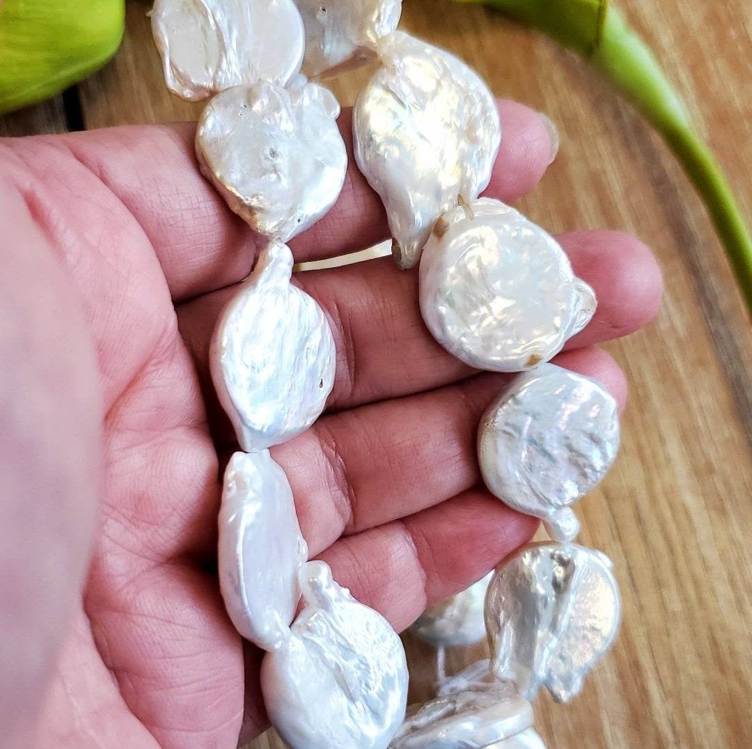 Mother of Pearl | Bellaire Wholesale